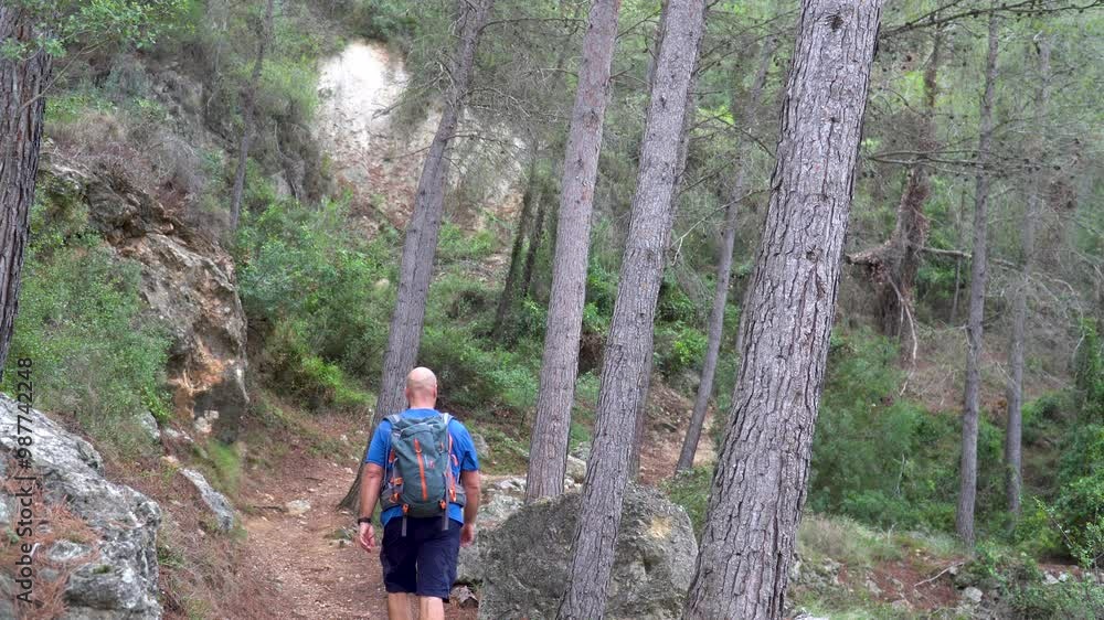 Back view of a man with backpack, hiking in the forest, real time video. Back view of a man with backpack, hiking in the forest, real time video.