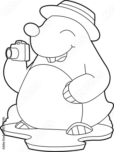 Mole Photographer Camera Animal Vector Graphic Art Illustration