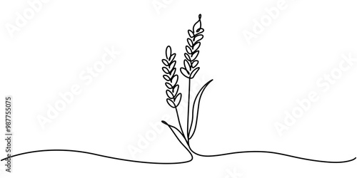 One continuous line. Spikelet of wheat. Spikelet of a cereal plant. Flat minimal icon. One continuous line on a white background, Ears of wheat one line drawing on white isolated background