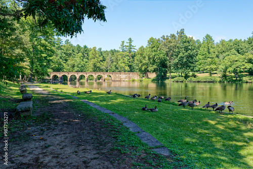 Cumberland mountain state park in Tennessee with geese at the lake photo