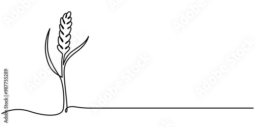One continuous line. Spikelet of wheat. Spikelet of a cereal plant. Flat minimal icon. One continuous line on a white background, Ears of wheat one line drawing on white isolated background