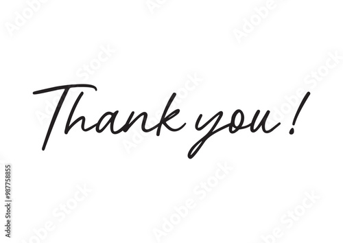 Thank You Text Vector. Thank you text font calligraphy isolated on white background.