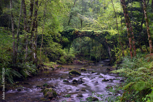Romanesque bridge of Artzub...