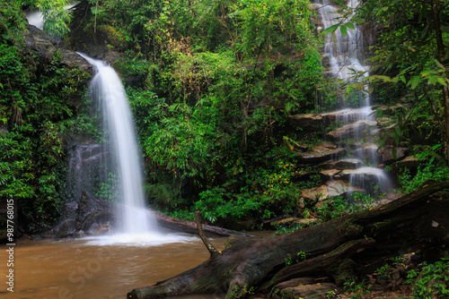 Fresh waterfall in the luxuriant jungle of the Doi Suthep national park, Thailand.