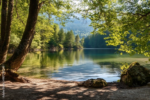 Tranquil forest lake with lush greenery and clear blue water