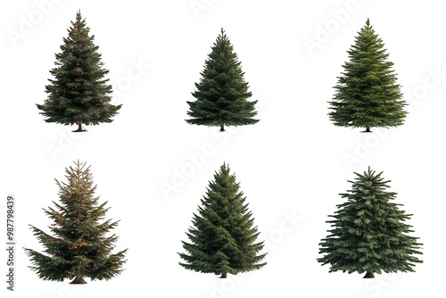 A set fir tree with clipping path, Christmas trees PNG collection, PNG image, PNG files, Generative art.