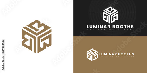 Modern hexagon vector initial letter LB or BL logo in gold color isolated on multiple background colors. The logo is suitable for renting photo booth logo design inspiration templates.
