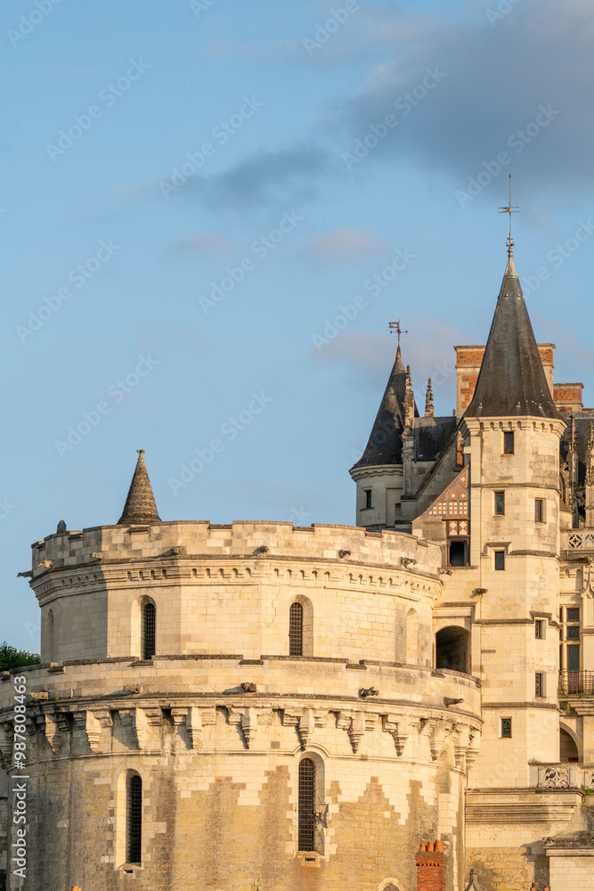 Fototapeta premium France - Amboise - The royal castle of Amboise