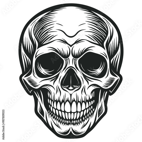 Black and white human skull vector illustration