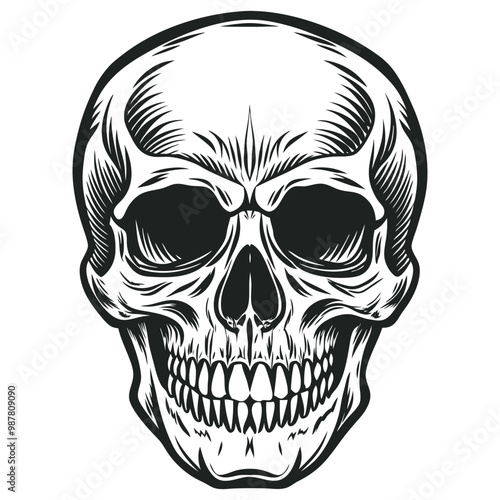 Black and white human skull vector illustration