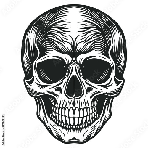 Black and white human skull vector illustration