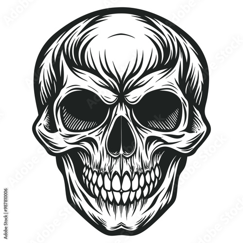 Black and white human skull vector illustration