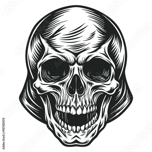 Black and white human skull vector illustration