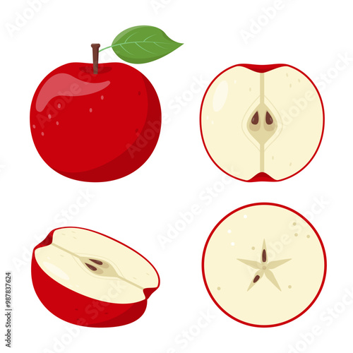 Set of apple fruits icons. Fresh whole and cut red apples. Organic fruits for juice, smoothie or vitamin C healthy food. Vector illustration isolated on white background.