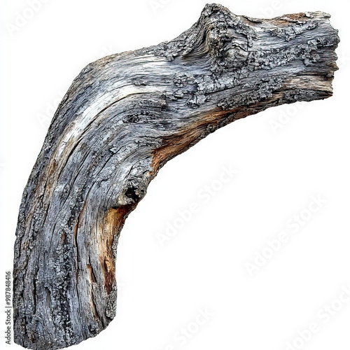 Driftwood Isolated