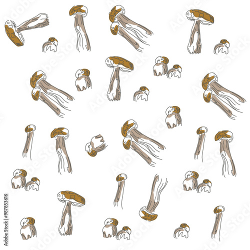 Vector image of a boletus mushroom. The most beautiful autumn time. The fruits of the forest. Eco pattern of mushrooms