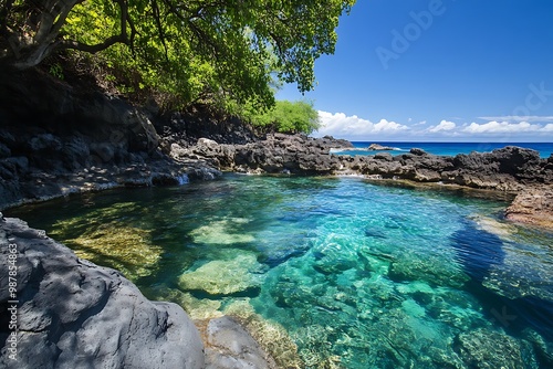 Tropical Secret Lagoon with Crystal Clear Water and Lush Greenery