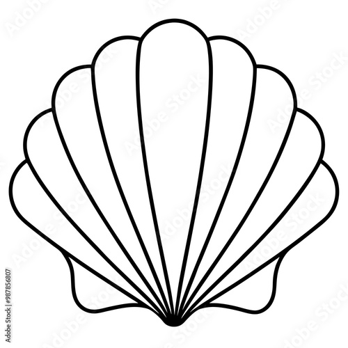 Symmetrical Scallop Shell with Radiating Ridge Lines - Vector Art