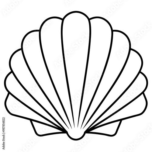 Symmetrical Scallop Shell with Radiating Ridge Lines - Vector Art