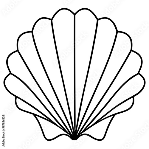 Symmetrical Scallop Shell with Radiating Ridge Lines - Vector Art