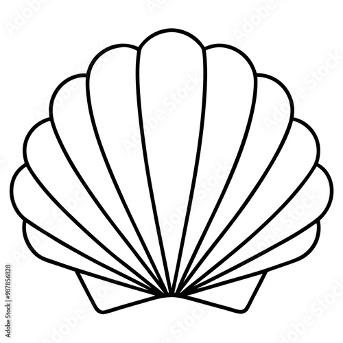 Symmetrical Scallop Shell with Radiating Ridge Lines - Vector Art