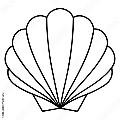 Symmetrical Scallop Shell with Radiating Ridge Lines - Vector Art