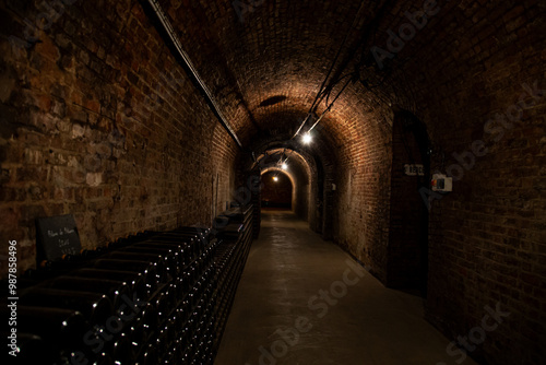Wine bottles in historic cellar tunnel