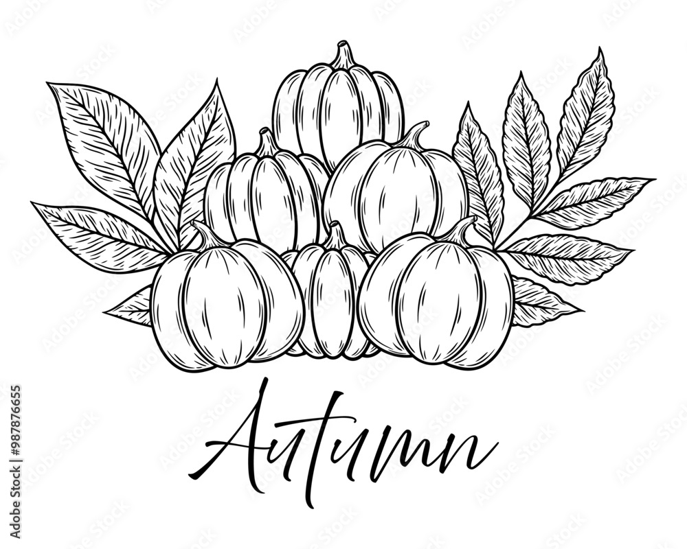 Autumn composition with pumpkins and leaves, line art illustration. Graphic monochrome drawing. Hand drawn outline sketch, engraved doodle illustration. For coloring book, invitation, decor Autumn composition with pumpkins and leaves, line art illustration. Graphic monochrome drawing. Hand drawn outline sketch, engraved doodle illustration. For coloring book, invitation, decor