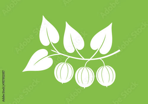 Monk fruit logo. Isolated monk fruit on green background