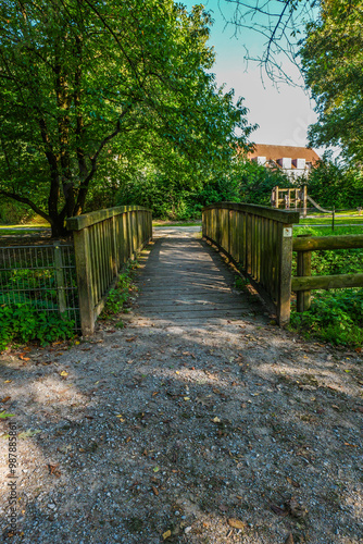 autumn in the park