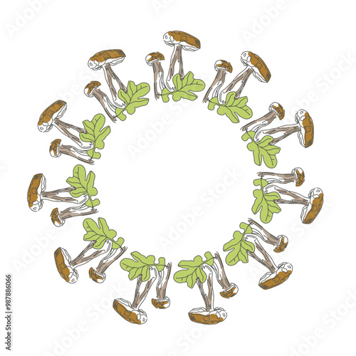 Vector image of a boletus mushroom. The most beautiful autumn time. The fruits of the forest. Eco pattern of mushrooms