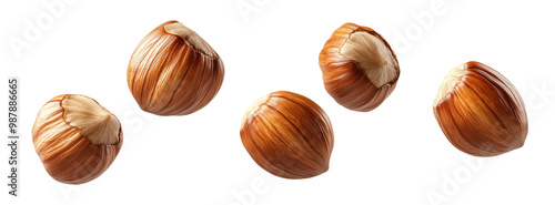 Wallpaper Mural Falling hazelnut, full body, on a transparent background Torontodigital.ca