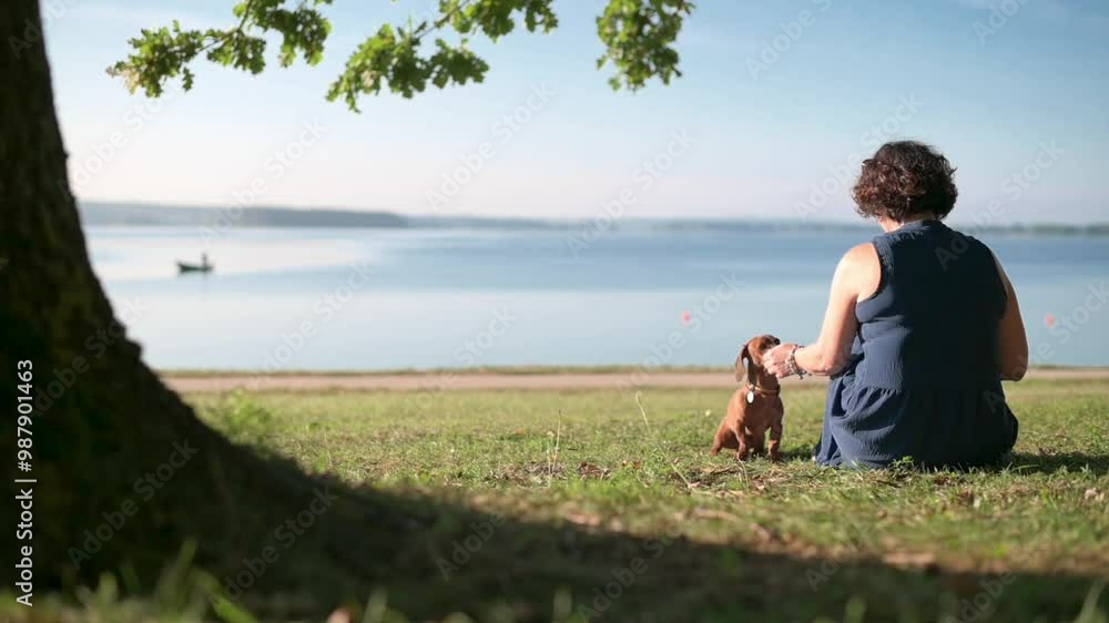 A woman and her dachshund enjoy a peaceful moment by the lakeside under the shade of a tree. Ideal for nature, outdoor, and pet-themed projects or lifestyle content. High quality 4k footage A woman and her dachshund enjoy a peaceful moment by the lakeside under the shade of a tree. Ideal for nature, outdoor, and pet-themed projects or lifestyle content. High quality 4k footage