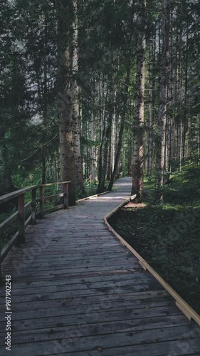 walk in the woods