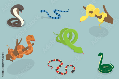 3D Isometric Flat Vector Illustration of Colorful Poisonous Snakes, Vivid Toxic Serpents