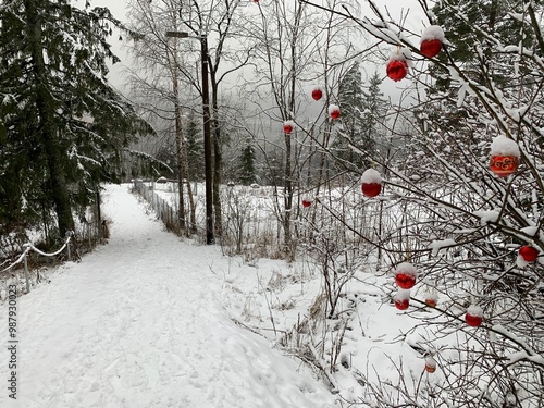 In einem Wald in Norwegen wurden Weihnachtskugeln und Weihnachtsdekorationen aufgehängt, die Kugeln sind jetzt mit Schnee bedeckt, ebenso wie die Zweige und Äste der Bäume in der schneebedeckten Natur photo