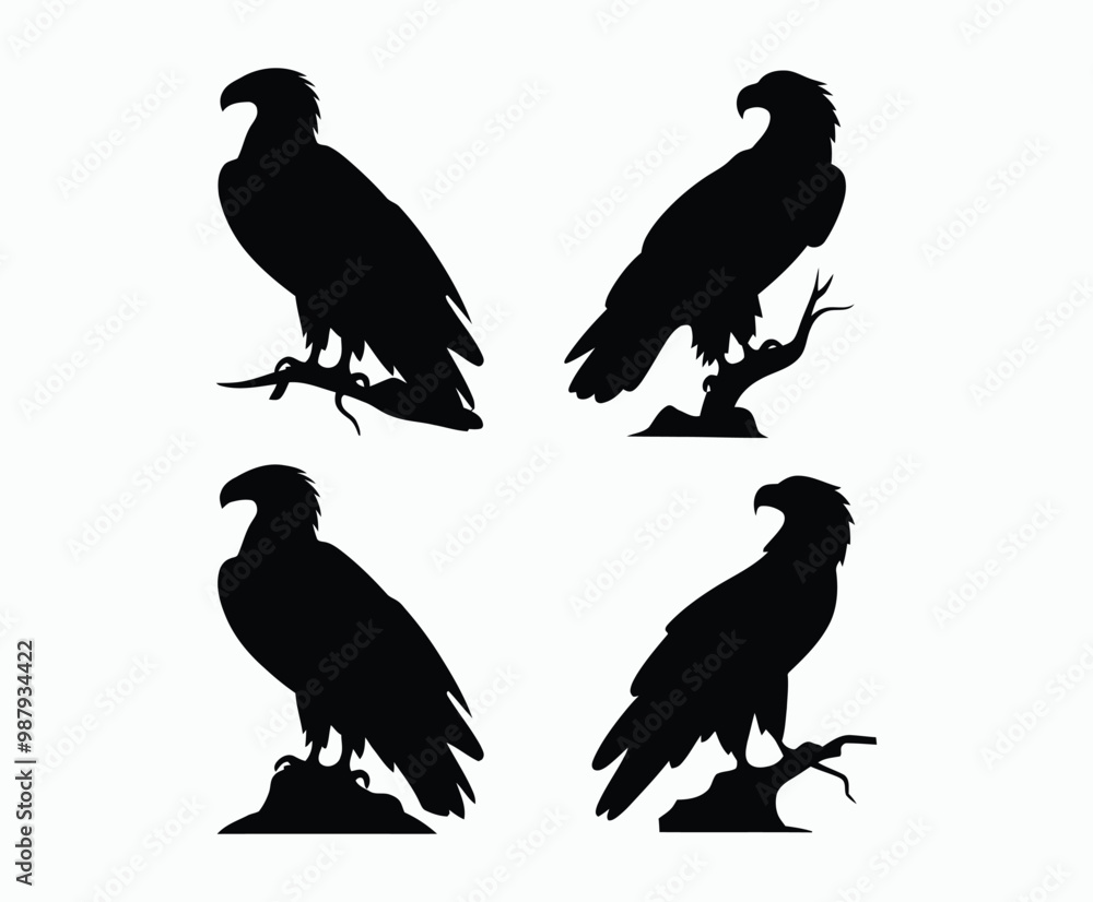 Bald eagle silhouette EPS vector isolated illustration and icon template on a white background Bald eagle silhouette EPS vector isolated illustration and icon template on a white background