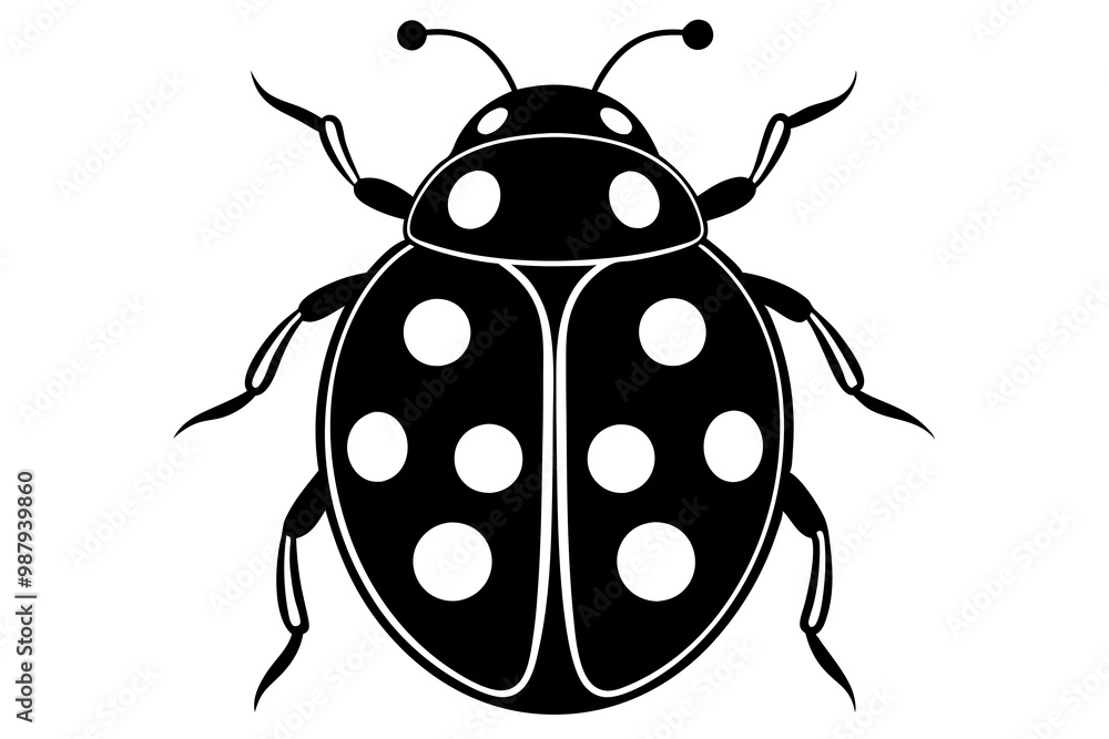 illustration of a ladybug illustration of a ladybug