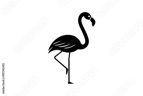 flamingo on white