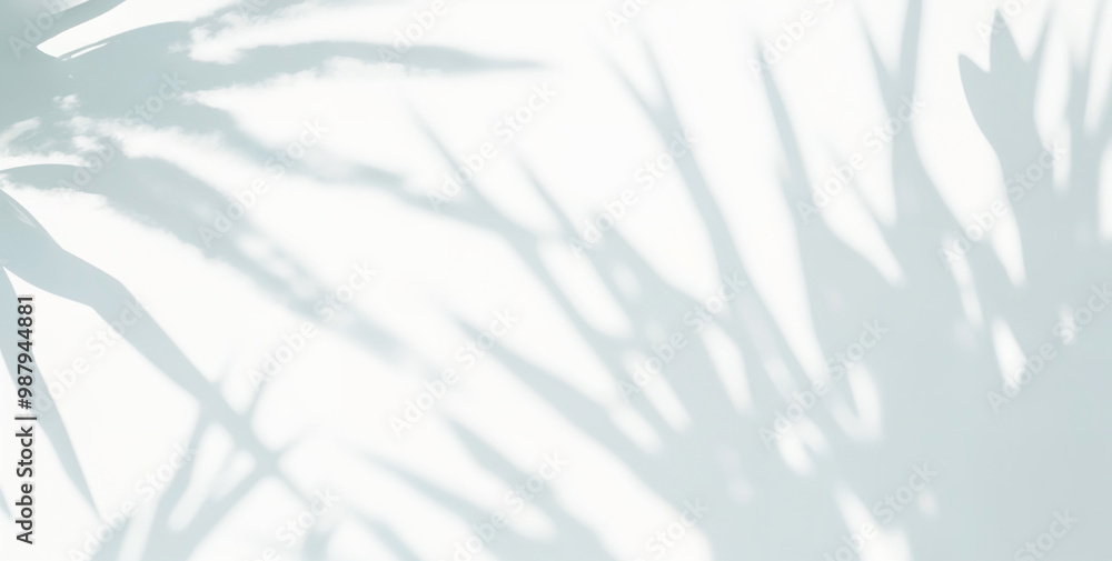 Palm Leaf Shadows on a White Wall: Sunlight Streams Through Tropical Plants, Creating a Serene Atmosphere. Tropical Sunlight & Summer Interior
Palm Leaf Shadows on a White Wall: Sunlight Streams Through Tropical Plants, Creating a Serene Atmosphere. Tropical Sunlight & Summer Interior