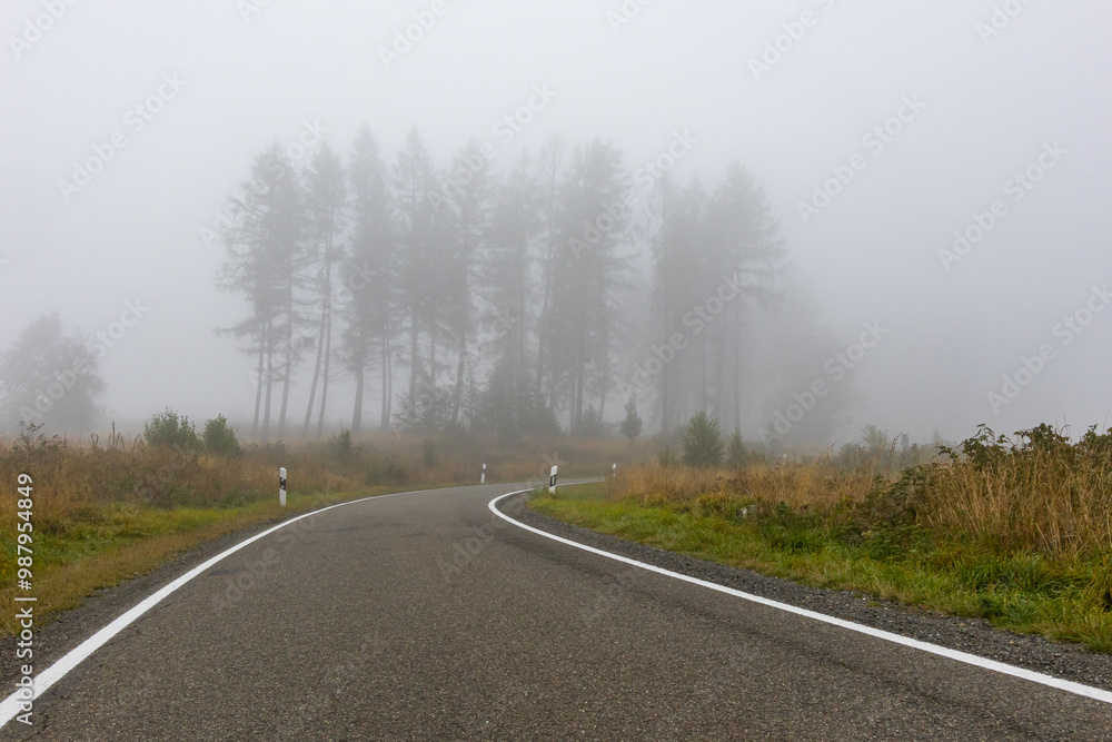 Fototapeta premium Straße durch Wald mit Nebel
