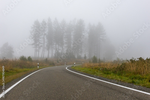 Straße durch Wald mit Nebel