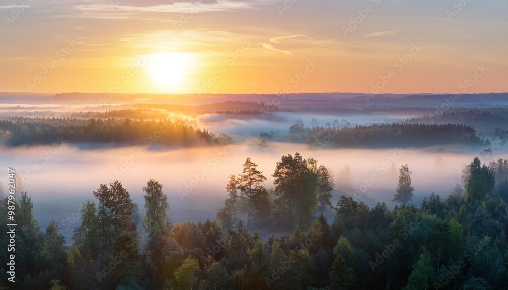 Fototapeta premium Amazing Sunrise Over Misty Landscape. Scenic View Of Foggy Morning Sky With Rising Sun Above Misty Forest. Middle Summer Nature Of Europe