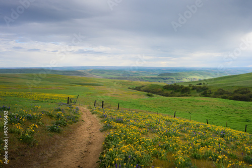 landscape of central Oregon