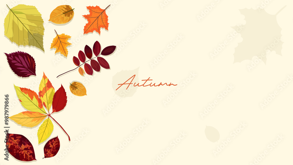 autumn template. Vector illustration of beautiful autumn leaves isolated on soft cream background. dry leaves and wet leaves. The concept design welcomes the changing seasons, autumn