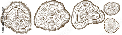 tree ring , environmental , old wood