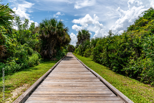 Walking path in Florida. Luxurious vegetation and a wooded 