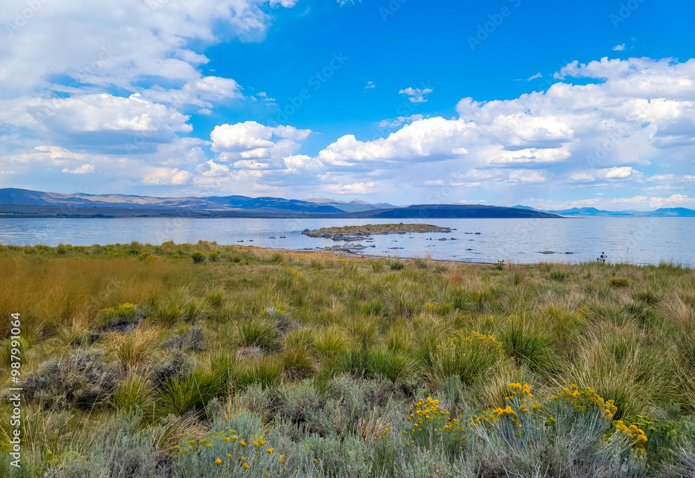 Obraz premium Mono Lake, CA