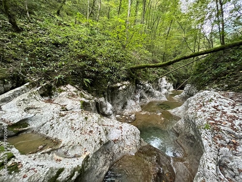 The Doblarec Gorge or Perilo Gorge, Rocinj (Slovenia) - Schlucht des Baches Doblarec (Slowenien) - Kanjon potoka Doblarec, Soteska Doblarec ali soteska Doblarca, Ročinj (Slovenija) photo