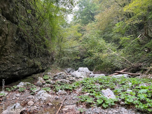 The Doblarec Gorge or Perilo Gorge, Rocinj (Slovenia) - Schlucht des Baches Doblarec (Slowenien) - Kanjon potoka Doblarec, Soteska Doblarec ali soteska Doblarca, Ročinj (Slovenija) photo